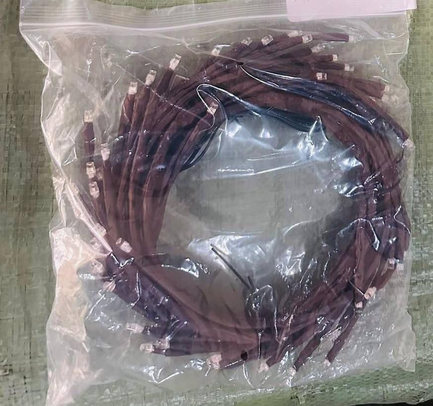 ๐ฟ Tree Branch LED Lights