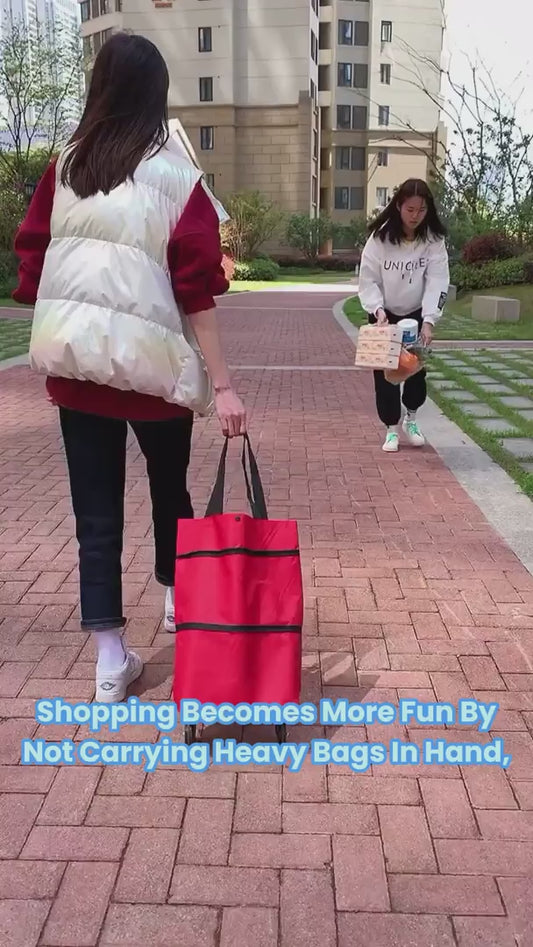 🧳 Trolley Bag – Assorted Colors